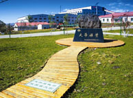 防城港天华矿业集团